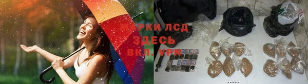 ALPHA PVP Нефтекумск