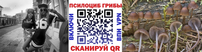 Псилоцибиновые грибы прущие грибы  Тырныауз 